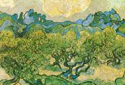 Vincent Van Gogh Olive Trees with the Alpilles in the Background USA oil painting reproduction